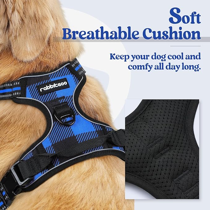 rabbitgoo Dog Harness, No Pull for Large Dogs with 2 Leash Clips, Pet Vest | No Choke with Handle, Adjustable Soft Padded, Reflective, Easy Control for Walking, Blue Plaid, Small
