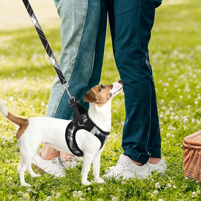 PUPTECK Adjustable Dog Harness Collar and Leash Set Step in No Pull Pet Harness for Small Medium Dogs Puppy and Cats Outdoor Walking Running, Soft Mesh Padded Reflective Vest Harnesses, Black L
