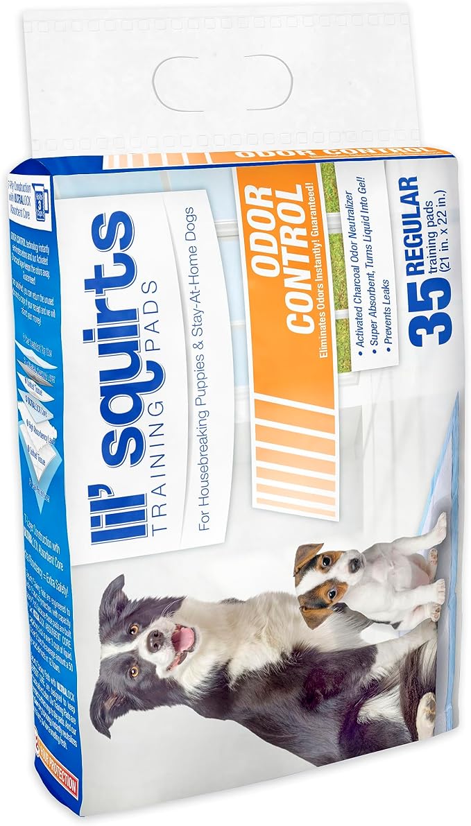 RUFFIN' IT 7N82006 Training Pads for Housebreaking Puppies, One Size (35 Pads)