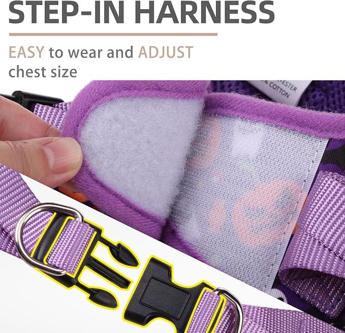 PUPTECK Dog Harness and Leash Set for Small Medium Dogs No Pull Step-in Soft Mesh Puppy Cat Vest Harnesses Reflective at Night, Halloween Purple, S
