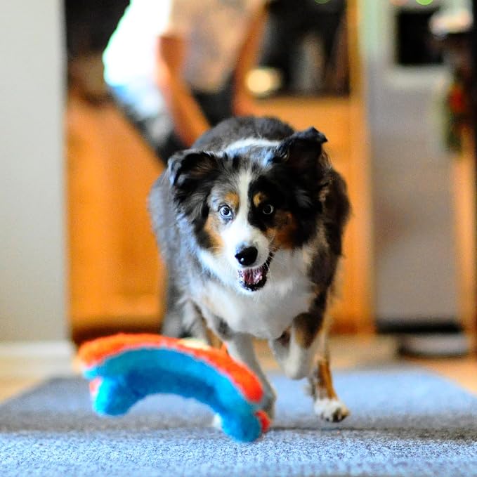 Chuckit! Indoor Fetch Squirrel Toy for Dogs, Orange and Blue | Interactive Dog Toy for Boredom and Indoor Fetch Play with Squirrel Toy Design in Orange and Blue for Dogs