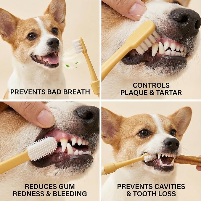 Dual-Head Pet Toothbrush for Small Dogs, Cats, Rabbits & Hamsters - Soft-Bristled Animal Oral Care Toothbrush (Yellow)