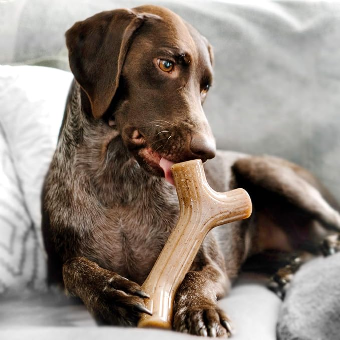 Benebone Maplestick and Fishbone Durable Dog Chew Toys for Aggressive Chewers, Made in USA