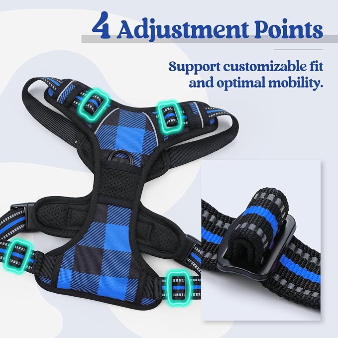 rabbitgoo Dog Harness, No Pull for Large Dogs with 2 Leash Clips, Pet Vest | No Choke with Handle, Adjustable Soft Padded, Reflective, Easy Control for Walking, Blue Plaid, Small