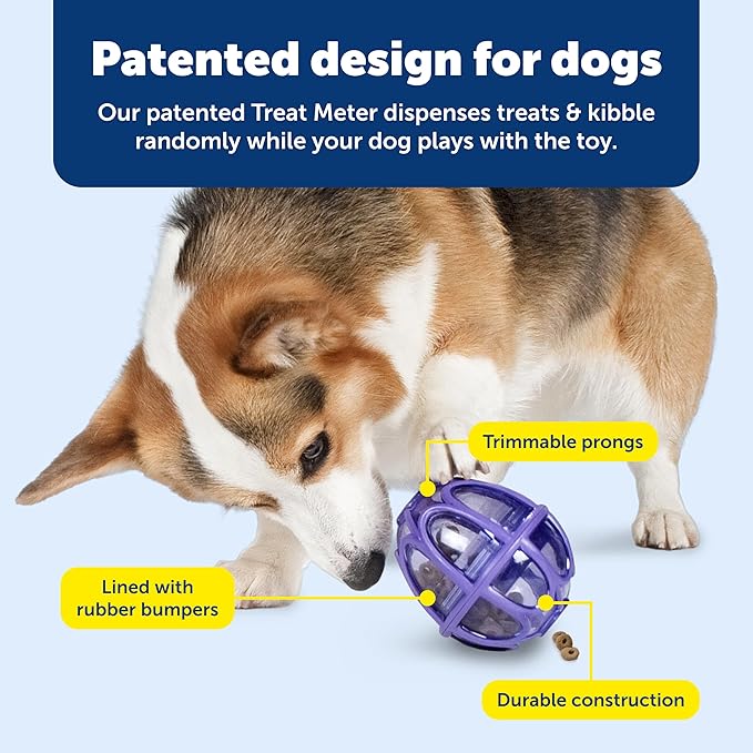 PetSafe Busy Buddy Kibble Nibble Dog Toy - Encourages Natural Instinct Feeding - Patented Treat Meter Design - Rubber Bumpers - Interactive Slow Feeder Ball - Purple - Small