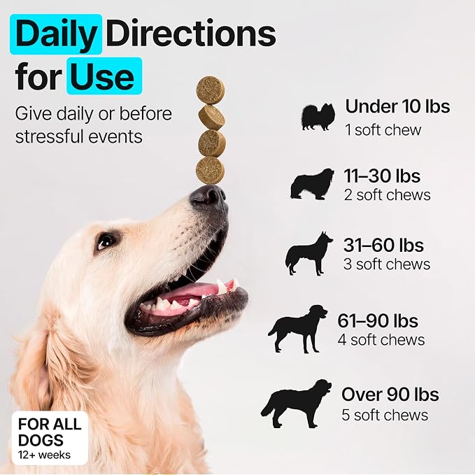 Dog Multivitamin Chewable with Glucosamine, Chondroitin & Probiotics – Dog Vitamins And Supplements – Skin, Hip & Joint, Immune - Puppy, Senior Dogs Supplements, 2 pack 340 Count, Made in USA
