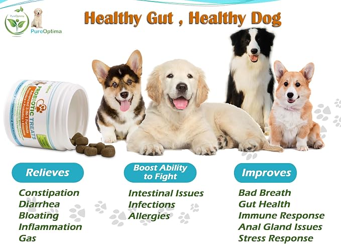Probiotics Chews for Dogs, Digestive Enzymes + Prebiotics Improves Digestion, Diarrhea, Constipation, Gas, Bad Breath, Leaky Gut, Allergy Immunity Daily Supplement 120 Counts