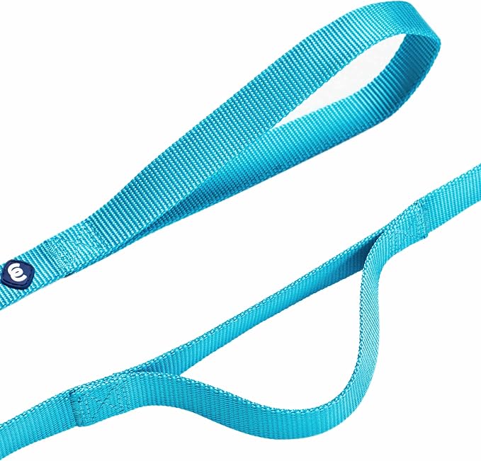 Blueberry Pet Essentials Double Handle Dog Leash for Traffic Control | 5ft. x 3/4" Medium Dog Leash | Classic Dog Leash with Two Handles for Dogs That Pull | Nylon 2 Handle Dog Leash in Turquoise
