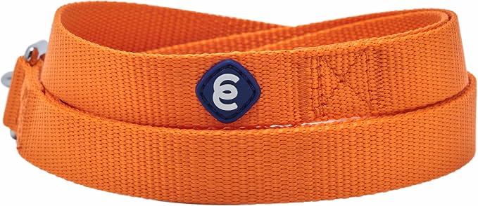Blueberry Pet Essentials Orange Vermilion Dog Leash for Medium - Large - 4' * 1" Dogs | Heavy Duty Nylon Lead | Lightweight Puppy & Cat Leash for Walking & Training