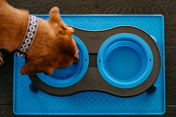 Dexas Pets Double Elevated Pet Feeder, Pro Blue, Small/1 Cup Capacity Bowls (PW1004322194)
