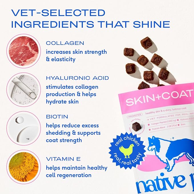 Native Pet Skin & Coat Chews - Omega 3 Fish Oil for Dogs Skin & Coat Supplement - Itch Relief, Shiny Fur & Shedding Support - Collagen, Hyaluronic Acid, Biotin, Probiotics & Salmon Oil - 30 Chews