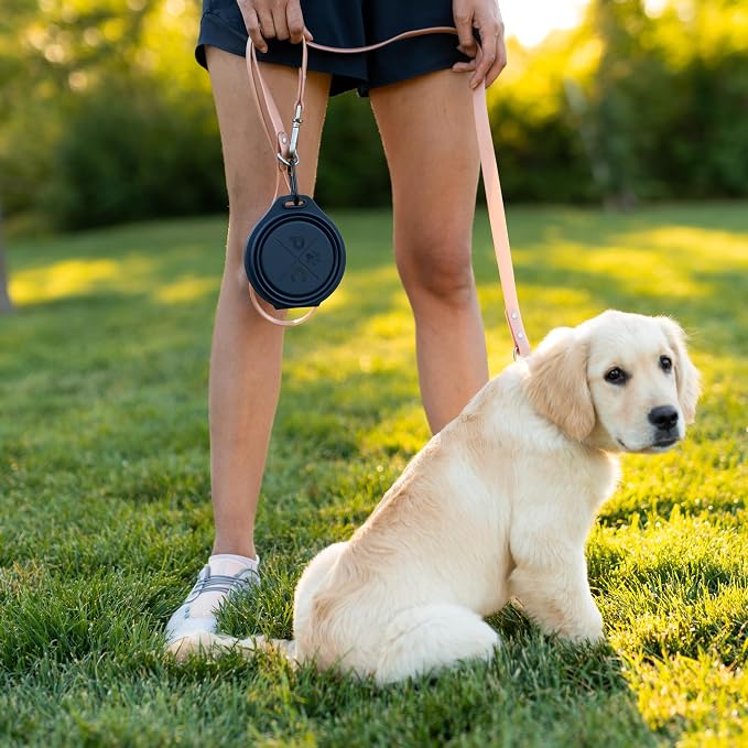 Pup Culture Dual Collapsible Dog Bowls | Silicone Travel Water Bowl for Dogs | Food Grade, No Plastic Rim, Portable Dog Bowl for Food and Water - Easy to Clean | BPA Free and Safe for Your Pup-Grey