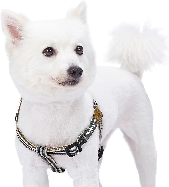 Blueberry Pet 5 Colors Step-in 3M Reflective Multi-Colored Stripe Padded Dog Harness, Chest Girth 16.5" - 21.5", Olive & Blue-Gray, Small, Adjustable Harnesses for Dogs