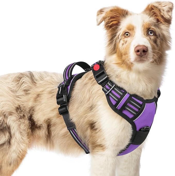 rabbitgoo Dog Harness Medium Sized, Updated Easy On & Off with 3 Buckles | No Pull No Choke, Walking with 2 Clips and Handle, Adjustable Soft Reflective, Purple, Medium
