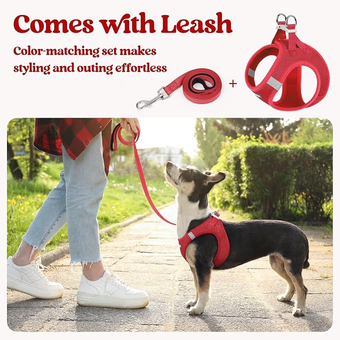 rabbitgoo Dog Harness Small Sized and Leash Set, Step-in Puppy Pet Vest | Light, Soft, Breathable Air Mesh, Easy on and Remove with Hook & Loop, Secure Reflective for Walking, Red M
