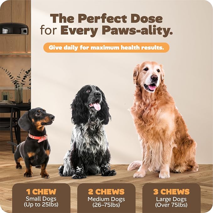 25-in-1 Dog Multivitamin, Chewable Supplements for Hip & Joints, Immune System, Gut & Digestive, Calming & Allergy Support, Omega 3 for Puppy & Seniors Dogs - 90ct (Bacon)