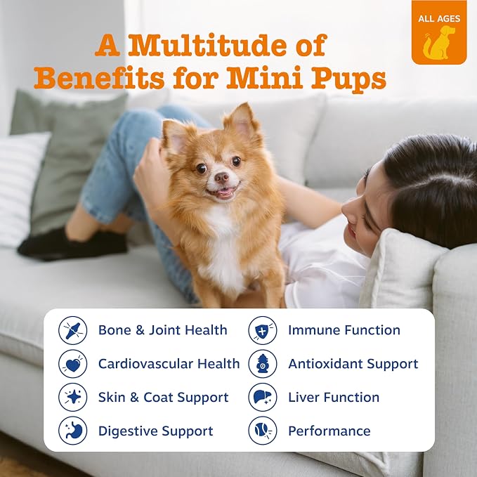 Zesty Paws Dog Multivitamin, Chewable Dog Vitamins and Supplements for Hip & Joints, Skin & Coat, Omega 3 Fish Oil for Dogs- Senior & Puppy Multivitamin - Chicken Mini Bites- 90ct (Pack of 2)
