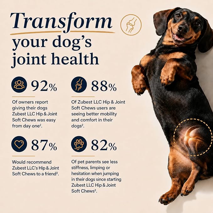 Zubest Hip & Joint Chews for Dogs, Glucosamine Chondroitin MSM, 60 Count