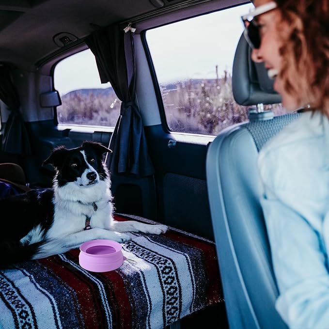 SLSON Spill Proof Dog Water Bowl for Cars, Purple