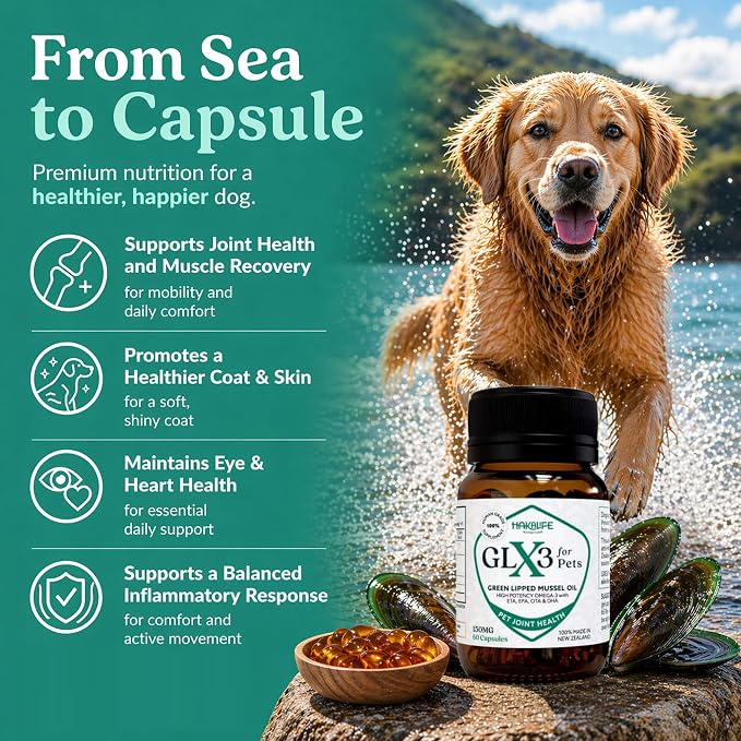 GLX3 Green Lipped Mussel Oil for Dogs | Joint & Hip Comfort Omega-3 Supplement | Ideal for All Dog Breeds and Ages | 1 Month Supply, 60 Gel Capsules w/Natural Ingredients