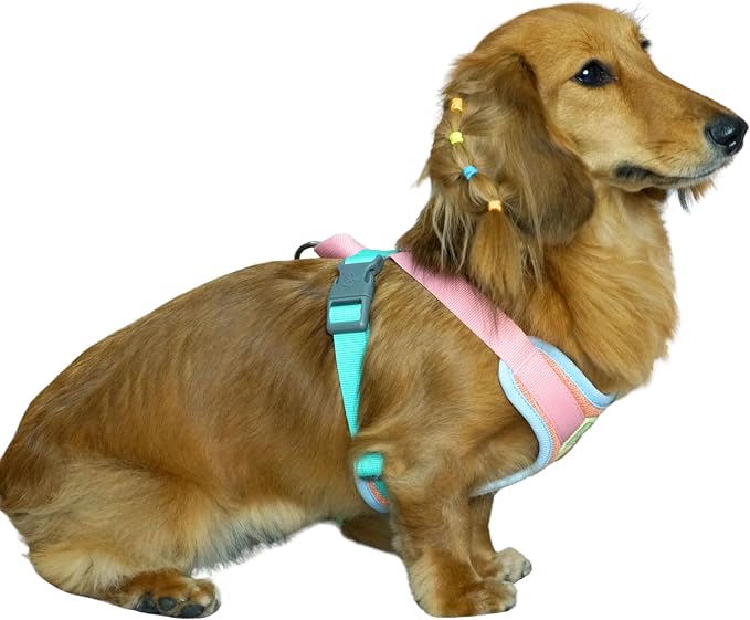 Blueberry Pet Vibrant Mesh Padded Ultra Cool Lightweight Dog Harness Vest in Coral, Medium, Neck 17¾", Chest 20"~24¾"