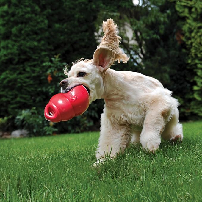 KONG Bounzer, Lightweight Rubber Fetch and Retrieve Toy, for Medium Dogs | Lightweight Oversized Classic-Shaped Rubber Toy with a Top Handle, Bounces Back for Fetch & Retrieve