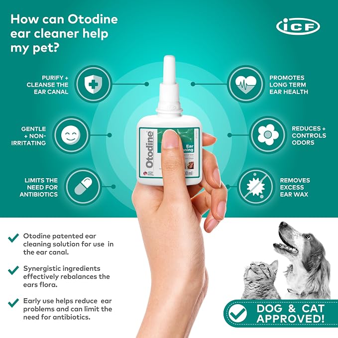 ICF Otodine Dog Ear Cleaner Solution Drops, 100ml