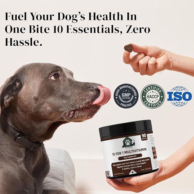 Dog Multivitamin Chews 10-in-1 - Glucosamine Probiotics 3 Billion CFU Omega CoQ10 - Dog Vitamins for Joint Immune Gut Skin Coat - 90 Soft Chews