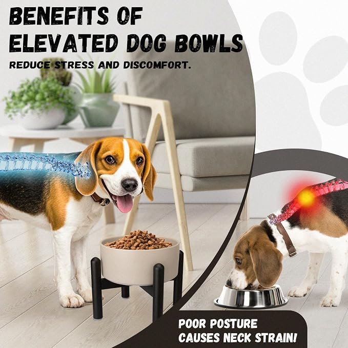 Raised Ceramic Dog Bowl - Elevated Food Water Dish with Stainless Steel Stand - for Small to Medium Dogs - 6 Inch - 2 Cups (28.75 fl oz) - Grey