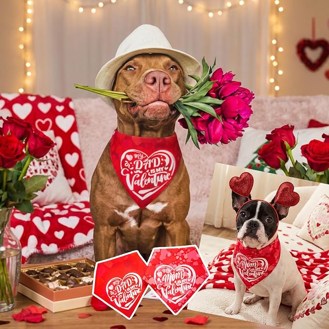 My Dad is My Valentine Dog Bandanas for Valentine's Day 2-in-1 Reversible Cute Lettering, Medium, Small, Red