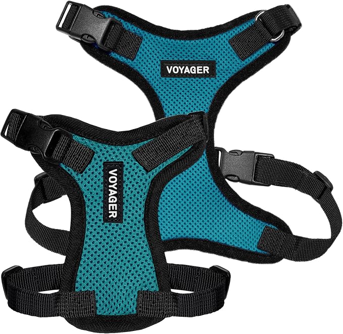 Voyager Step-in Lock Dog Harness - Turquoise/Black Trim, Large | 20 - 25" in Chest, Adjustable, Breathable Air Mesh, Lightweight for Daily Walks, Strong Clips, Heavy Duty D-Ring