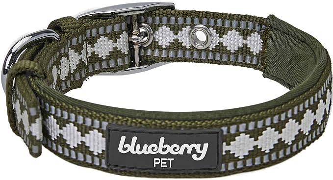Blueberry Pet Reflective Jacquard Dog Collar with Neoprene Padding & Metal Buckle | Soft & Adjustable Safety Collar - Olive, Neck 9-12.5", for Small Breed