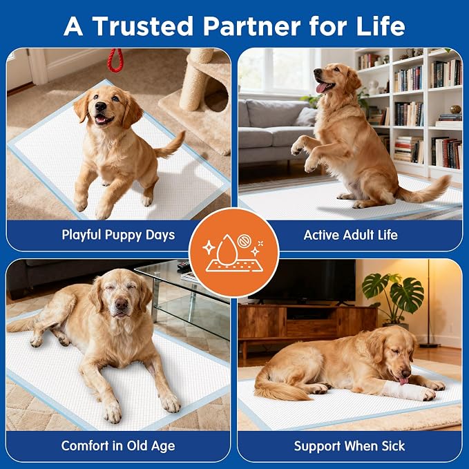 Extra Large Dog Pee Pads 31x47 Inch - Heavy Duty 6-Layer Leak-Proof, Super Absorbent & Quick-Dry for Potty Training, 40 Count
