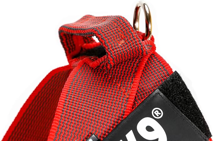 Julius-K9 IDC Color & Gray Belt Harness, Size: L/1, Red-Gray