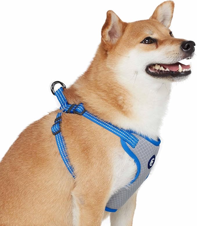 Blueberry Pet Essentials Reflective Dog Harness, Leash & Collar Set for Medium Dogs, French Blue, Adjustable Dog Harness & 5 ft Dog Leash, Puppy Essentials, Dog Collars for Small Dogs