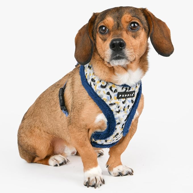 Puppia Huxley Dog Harness Over-The-Head Warm Winter Leopard Pattern Adjustable Chest for Small and Medium Dog, Blue, Medium