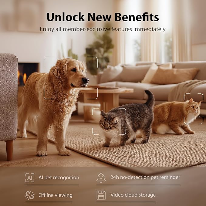 IMIPAW Automatic Cat Feeder with Camera and Water Fountain, HD AI Pet Recognition, APP Remote Control, Timed Food Dispenser, Two-Way Audio, Night Vision Function, 3L Fountains for Drinking with Filter