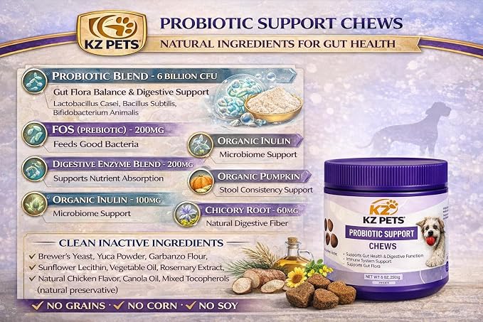 Probiotic Support Chews for Dogs – 6 Billion CFU 5-Strain Dog Probiotic with Prebiotics & Digestive Enzymes – Gut Health, Digestive Support & Immune Support Supplement – 100 Soft Chews