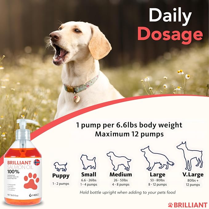 Salmon Oil for Dogs - Healthy Skin & Coat, All Natural Norwegian Fish Oil Food Supplement for Pets, Omega 3 EPA DHA, Ideal for Shedding, Allergy, Itching, Dry Skin, Joint & Bone Health - 16.9 Oz