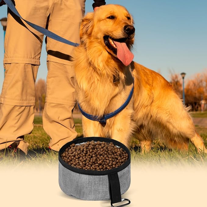 Meanplan 2 Pack Portable Dog Bowls, 40oz, Gray
