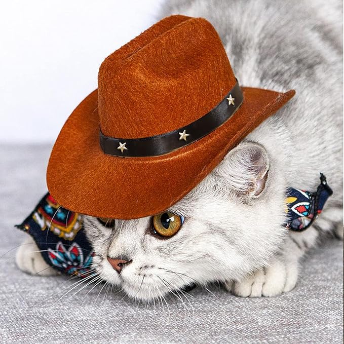 Dog Cowboy Hat & Bandana Scarf (Coffee, Large, Large