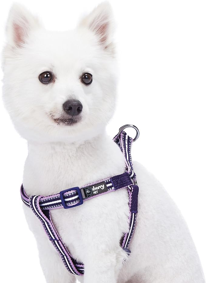 Blueberry Pet 5 Colors Step-in 3M Reflective Multi-Colored Stripe Padded Dog Harness, Chest Girth 26" - 39", Orchid & Lavender, Large, Adjustable Harnesses for Dogs