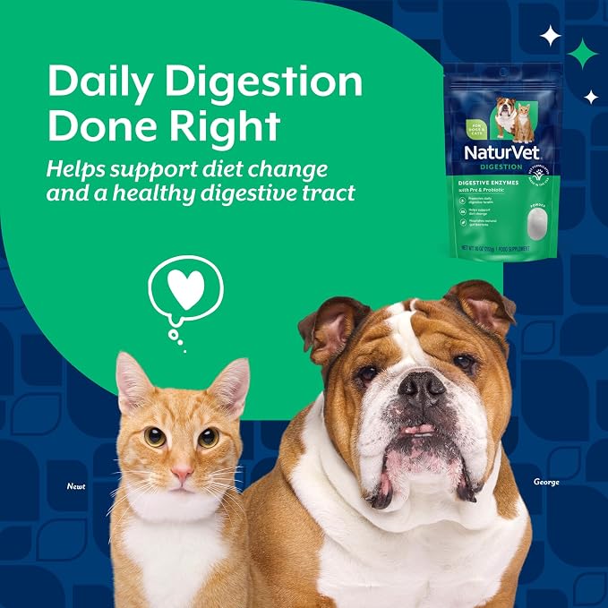 NaturVet Digestive Enzymes with Pre & Probiotic for Dogs & Cats - 10 oz | Supports Diet Changes & a Healthy Digestive Tract, Powder Pouch