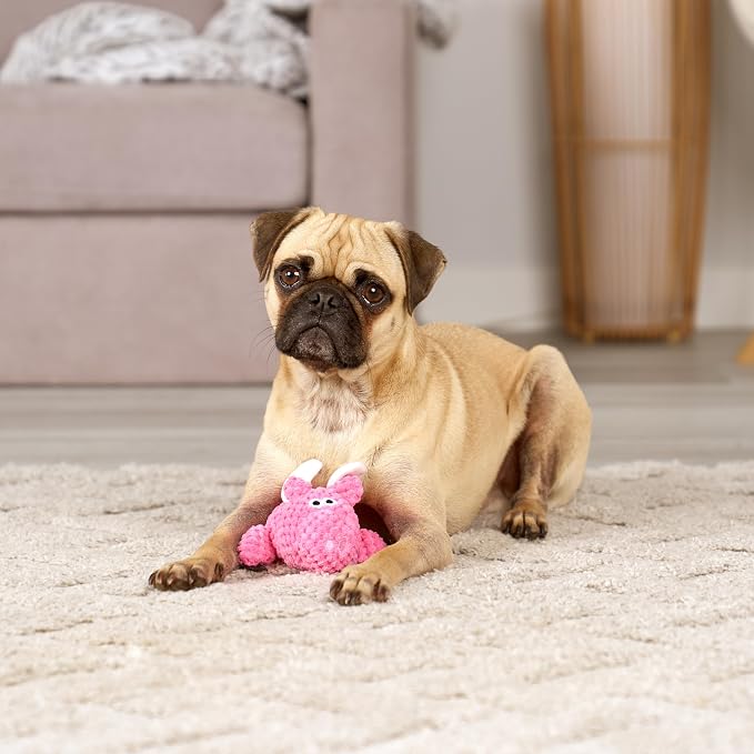 goDog Farm Friends Sitting Flying Pig Squeaky Dog Toy, Plush with Chew Guard Technology, Pink, Mini