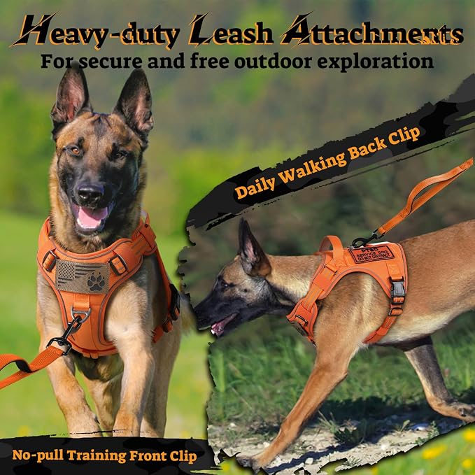 rabbitgoo Tactical Dog Harness Medium Sized, No Pull Service Pet Vest | Military Molle System & Easy Control Handle, Adjustable and Reflective for Walking and Training, Orange, Medium