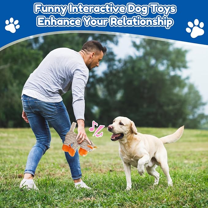 loncoldy Squeaky Dog Toys, Tough Chew Toys for Dogs, Crinkle Interactive Squeaky Stuffed Dog Toy for Small Medium Large Breeds, Plush Dog Toy to Keep Them Busy, Pet Toys for Dogs