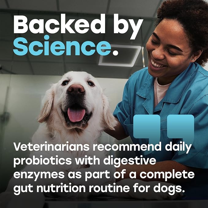 Probiotics for Dogs - Digestion, Gut Health & Firmer Stool