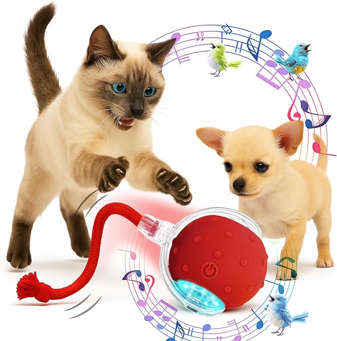 2025 New Interactive Pet Toy Ball for Indoor Cats & Small Dogs – Motion-Activated Automatic Rolling Ball with Chirping Sounds, Elastic Tail, Smart Rechargeable Toy to Keep Pets Active.