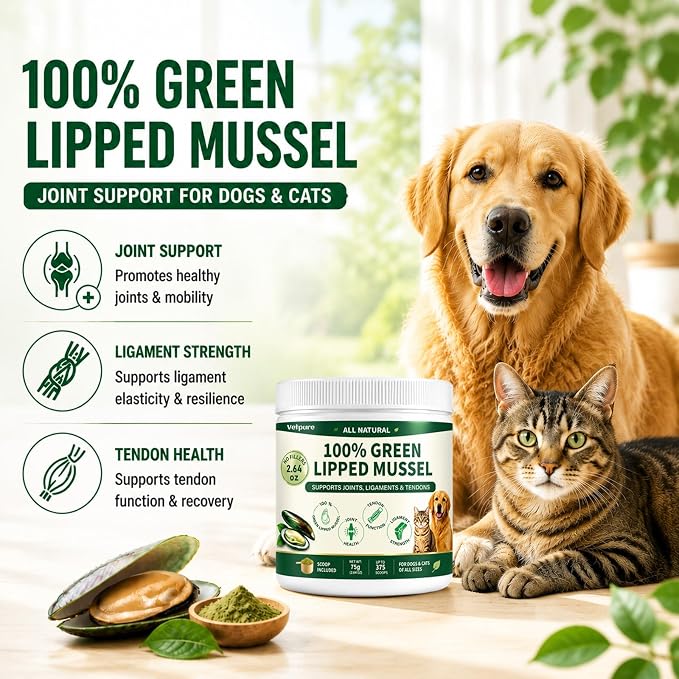 Pure Green Lipped Mussel Powder for Dogs & Cats – 100% Natural Hip & Joint Supplement Powder Supports Joints, Tendons, Ligaments & Muscles – 75 Grams – Up to 375 Servings