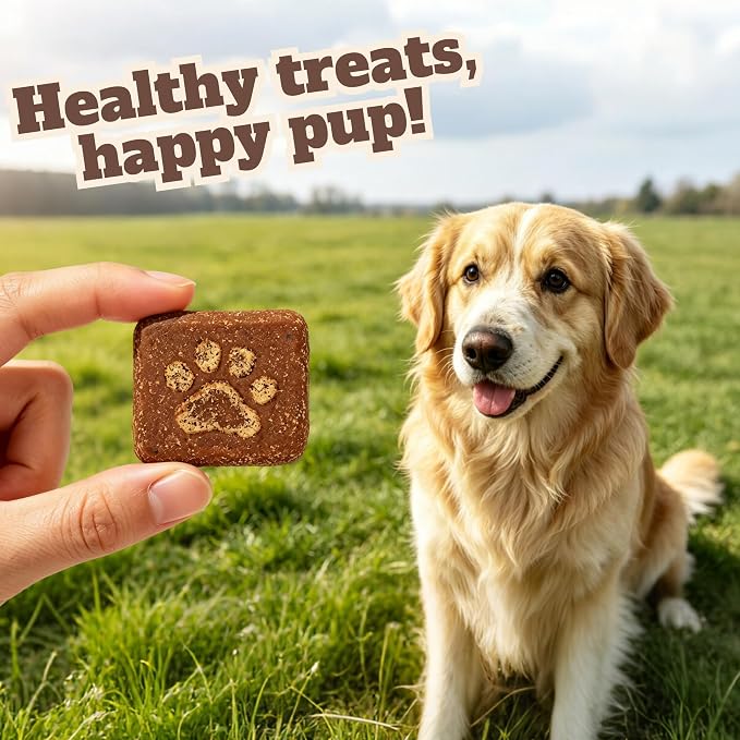 Wellix 12-Vitamin Dog Treats for Immune Support, Crunchy Dog Biscuits